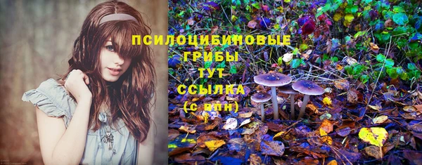 а пвп мука Новозыбков