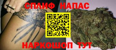 гашик Гусиноозёрск