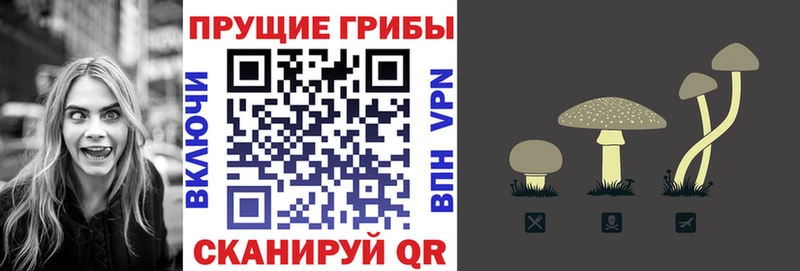 Псилоцибиновые грибы MAGIC MUSHROOMS  Магадан 