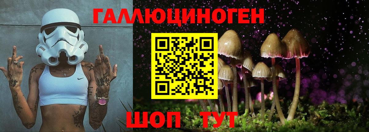 Псилоцибиновые грибы GOLDEN TEACHER  цена наркотик  Магадан  Вход с VPN 