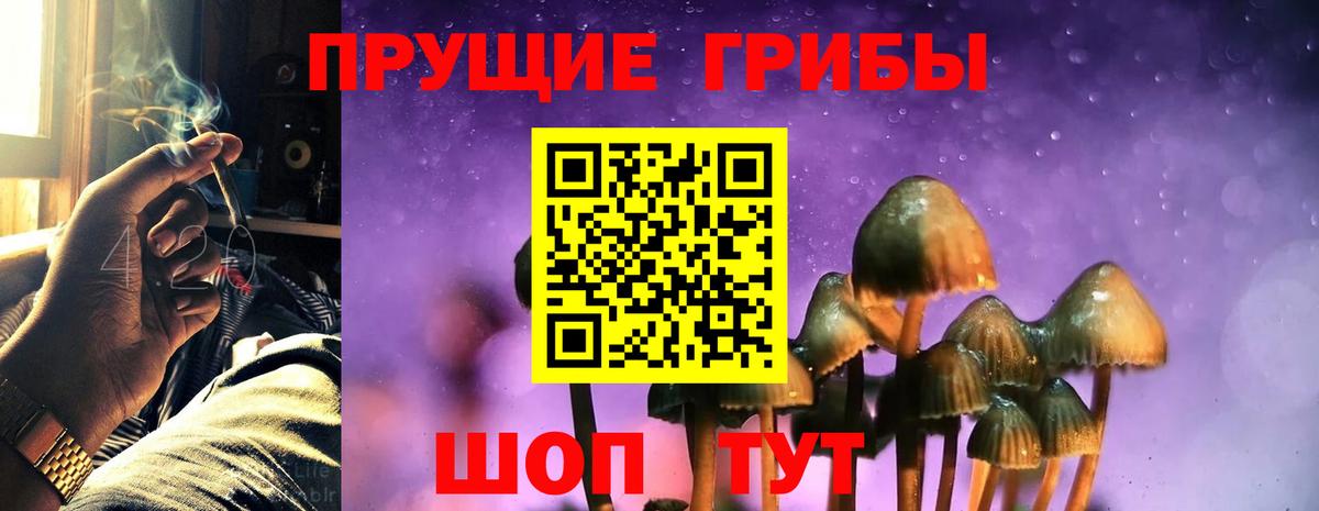 Псилоцибиновые грибы GOLDEN TEACHER Магадан